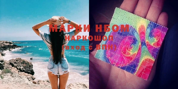 индика Балахна
