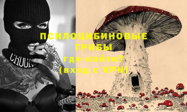 ПСИЛОЦИБИНОВЫЕ ГРИБЫ Елизово