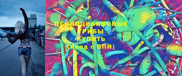 эйфоретик Арсеньев