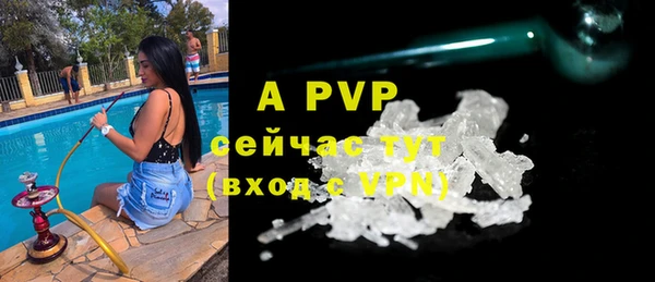 индика Балахна