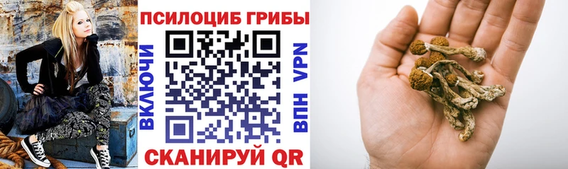 Галлюциногенные грибы MAGIC MUSHROOMS как найти закладки Чистополь