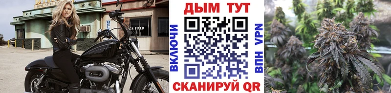 где продают   Чистополь  Канабис конопля 